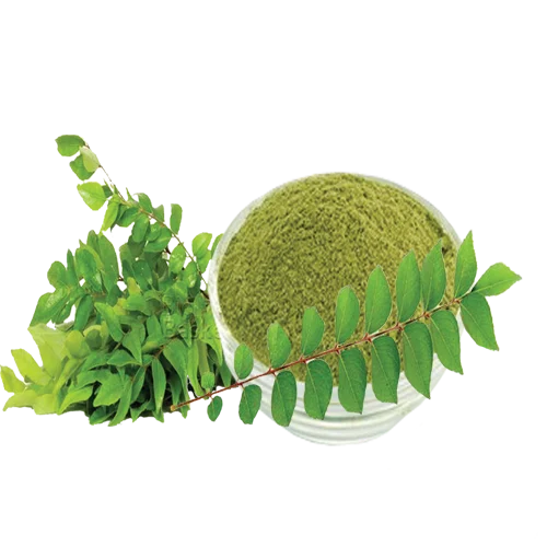 Curry Leaves Powder