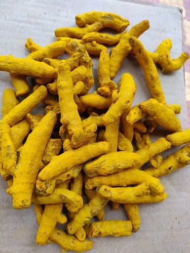 Turmeric Finger